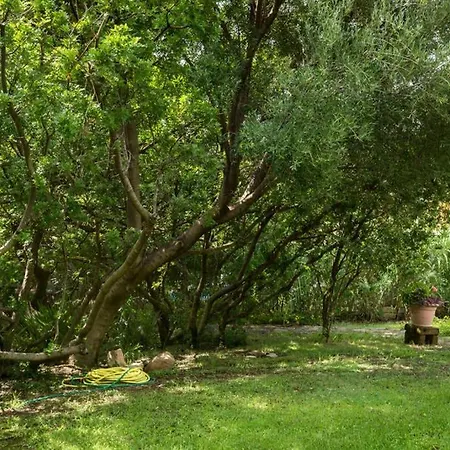 Luxury Bibi With Pool In Capo Boi With Private Villa Villasimius